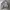Partimento Tanker Military Flight Jacket photo 5