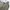  lee khakis pleated trousers photo 5