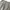  lee khakis pleated trousers photo 2