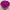 Nike Sportswear Short Wanita purple photo 2