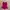 Lingerie Fushia