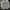 Ziphoodie Jansport Harvard University Grey photo 1