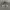Ziphoodie Jansport Harvard University Grey