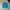 Pancoat Kancil Blue photo 1