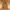 Carhartt Hoodie Chase Brown photo 1