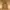 Carhartt Hoodie Chase Brown
