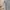 Outer grey photo 5