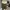 Top satin premium photo 1