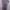 Midi Dress Mauve photo 1