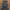 [NEW] Beige Studio Highwaist Denim