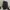 Backpack Dickies Size : Free Minus photo 2