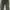 Cargo Pants Green Wash photo 1