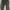 Cargo Pants Green Wash