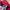 Le Coq Sportif 90s Track Jacket photo 4
