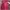 Sweater Lotso Pink Fuschia Wanita photo 2