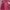 Sweater Lotso Pink Fuschia Wanita
