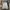 Asics Streetwear Y2K Track jacket Pria white gray photo 1