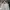 Asics Streetwear Y2K Track jacket Pria white gray photo 2