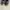 Nike Sportswear Casual Sneakers Pria green black gray photo 4