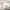 VANS Streetwear Skater Sneakers Pria white gray photo 4