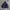 Jacket Sherpa Nautica photo 3