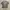 HARLEY DAVIDSON SUNFADED TEE photo 7