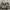 REALTREE REDHEAD BAGGY CARGO PANTS photo 2