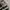 REALTREE REDHEAD BAGGY CARGO PANTS photo 5