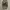 REALTREE REDHEAD BAGGY CARGO PANTS photo 1