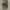 REALTREE REDHEAD BAGGY CARGO PANTS photo 9