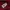 Lacoste Burgundy Maroon Poloshirt photo 4