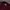 Lacoste Burgundy Maroon Poloshirt photo 3