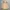 THE NORTH FACE McMURDO PARKA WINTER DOWN JACKET photo 7
