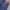 Vintage Levis 501 Painted Denim Longpants photo 5
