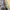 Jeans pull and bear uk 40  photo 5