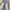 "MICHINA” Bluewash Jeans Pants (Baggy Fit) photo 4