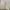 “LE REVE” Light Grey Carpenter Heavyweight Sweetpants (Relax photo 8