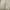 “LE REVE” Light Grey Carpenter Heavyweight Sweetpants (Relax photo 6