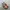 birkenstock  photo 3