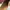 birkenstock  photo 6