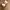 Maison Margiela Tabi Ballerinas Flats White Leather photo 8