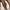 Maison Margiela Tabi Ballerinas Flats White Leather photo 7