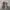 Burberry Nova Check Button Up Shirt photo 1