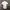 Tornado Mart Polo White Shirt photo 8