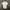 Tornado Mart Polo White Shirt photo 1