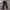 Adidas Casual Tracksuit Pria black photo 1
