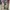 Rok Brookat Vintage Panjang photo 1