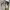Rok Rajut Knit Rib Panjang