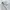 Uniqlo Selvedge Slim Straight Jeans White  photo 4