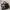 Vintage Fendi Brown Tote Bag photo 1